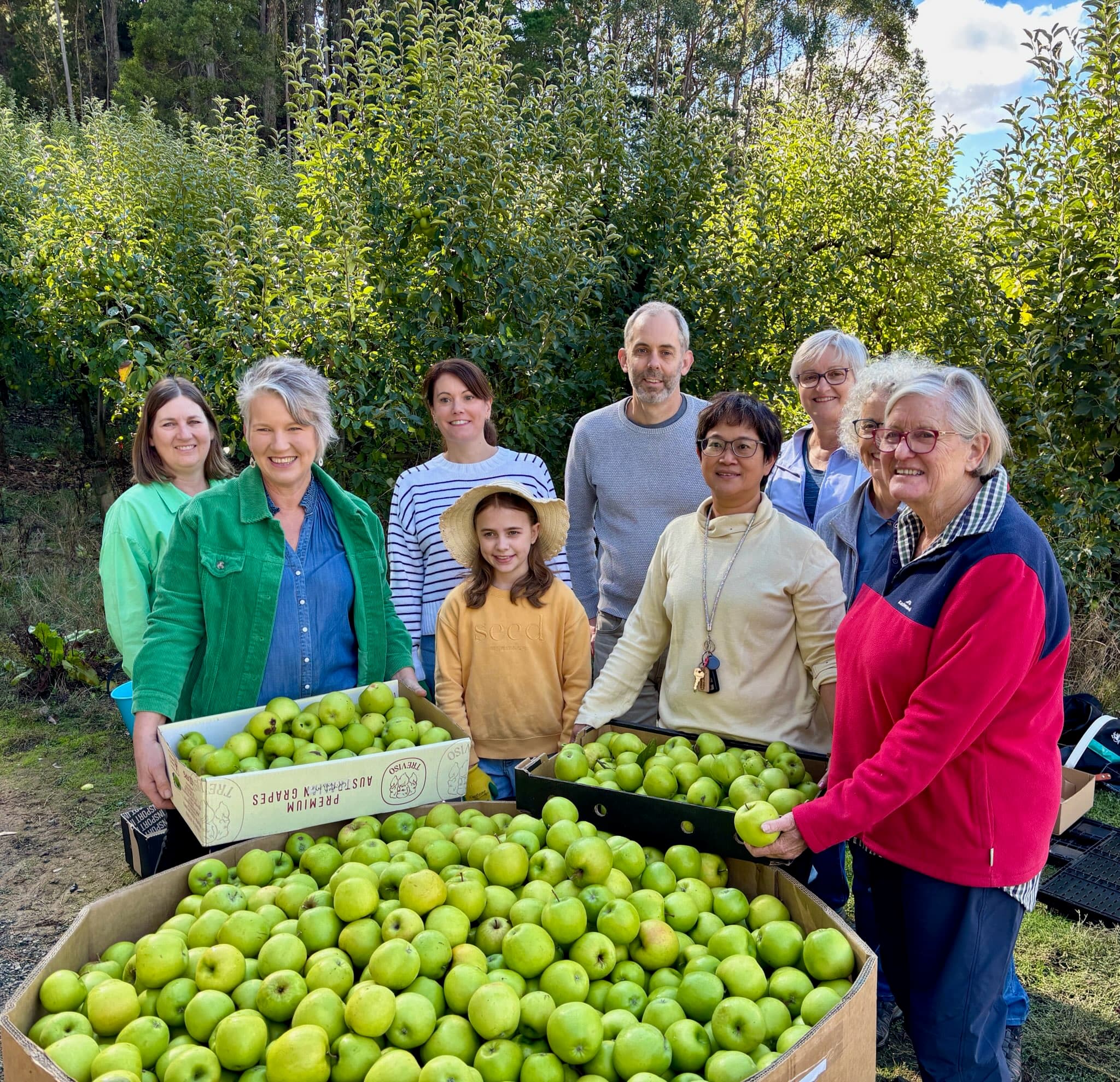 Fruit Share Adelaide harvest