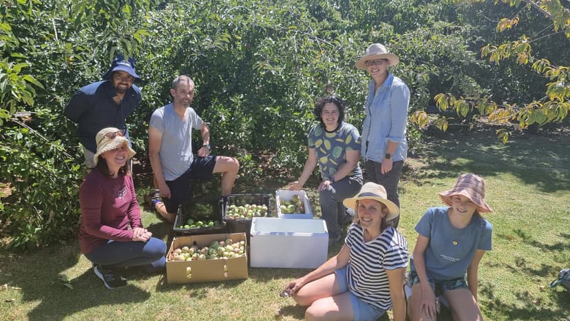 Growers and orchards